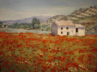 Poppy Field
