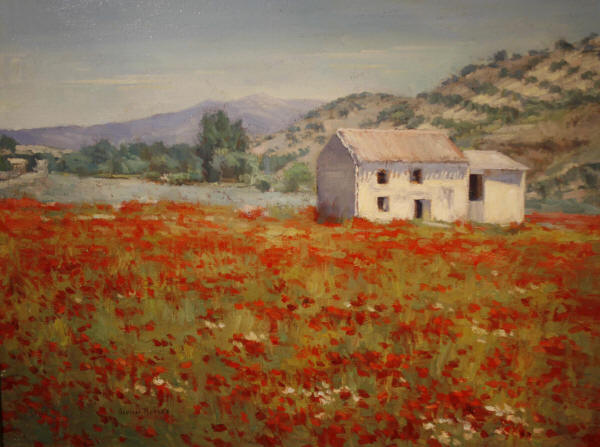 Poppy Field