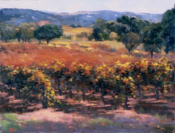 quiet vineyard